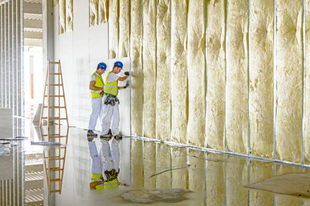 Best Insulation Installation Services in Indian Trail, NC